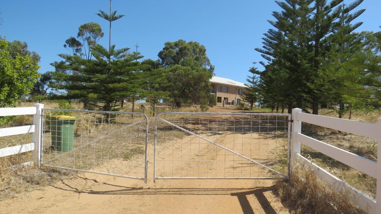 Turquoise Coast Lodge Jurien Bay Eksteriør billede